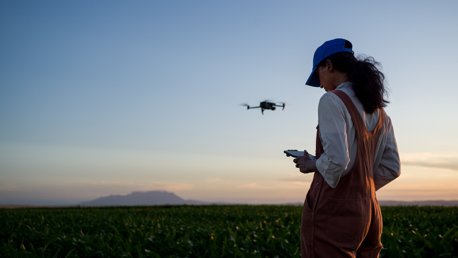 Woman with a drone in the field