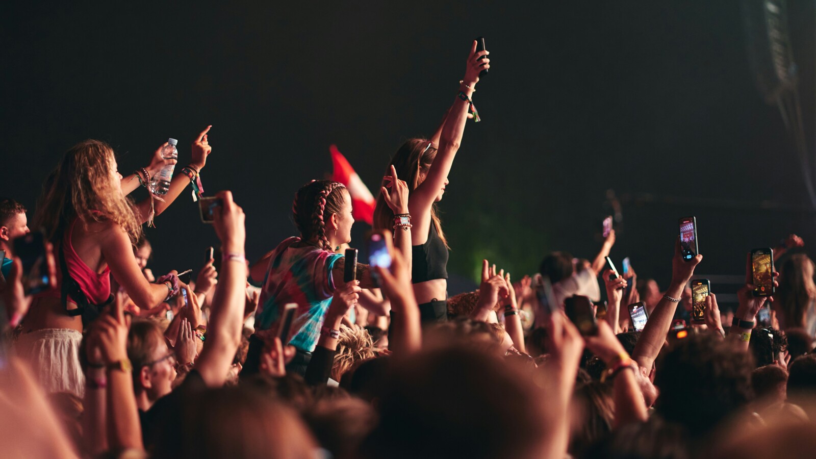 A crowd of people at a concert.