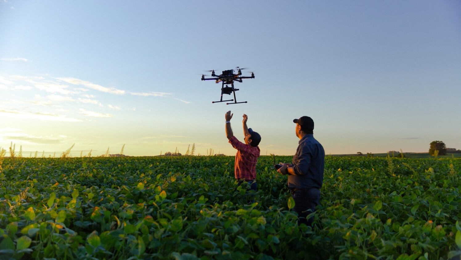 Drone flying over a field