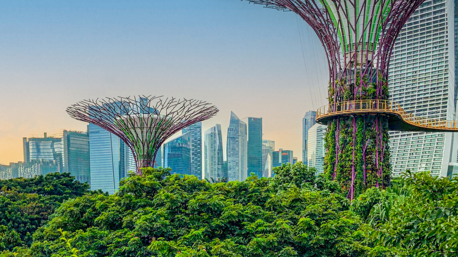 women checking her phone on the street