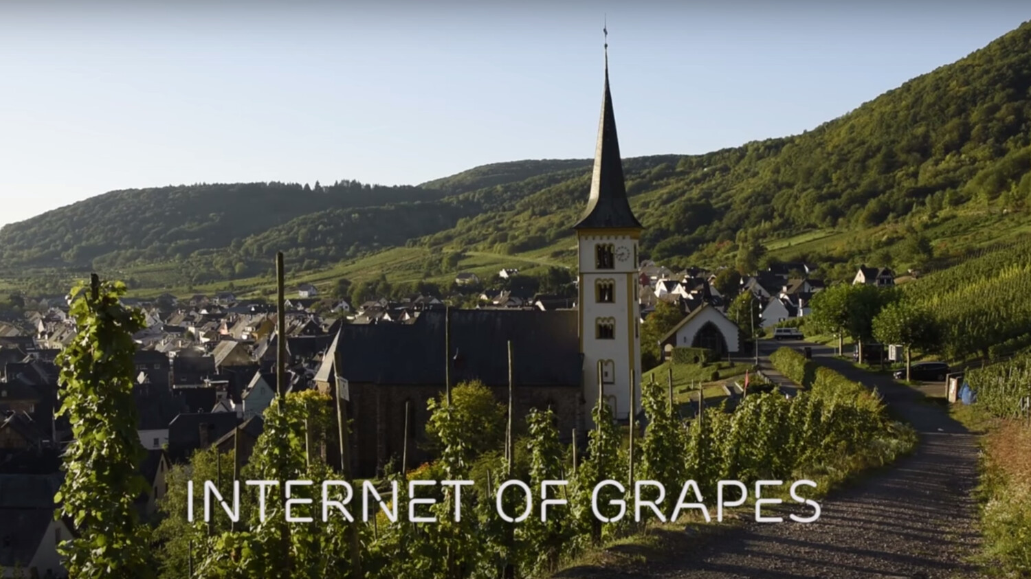 Internet of Things in your vineyard