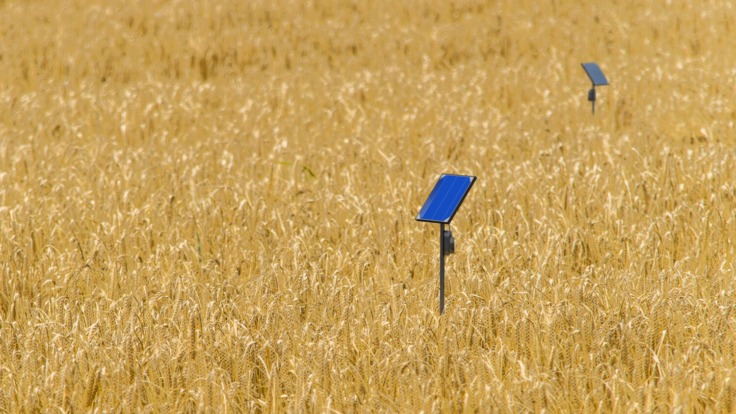 Sensors precision agriculture