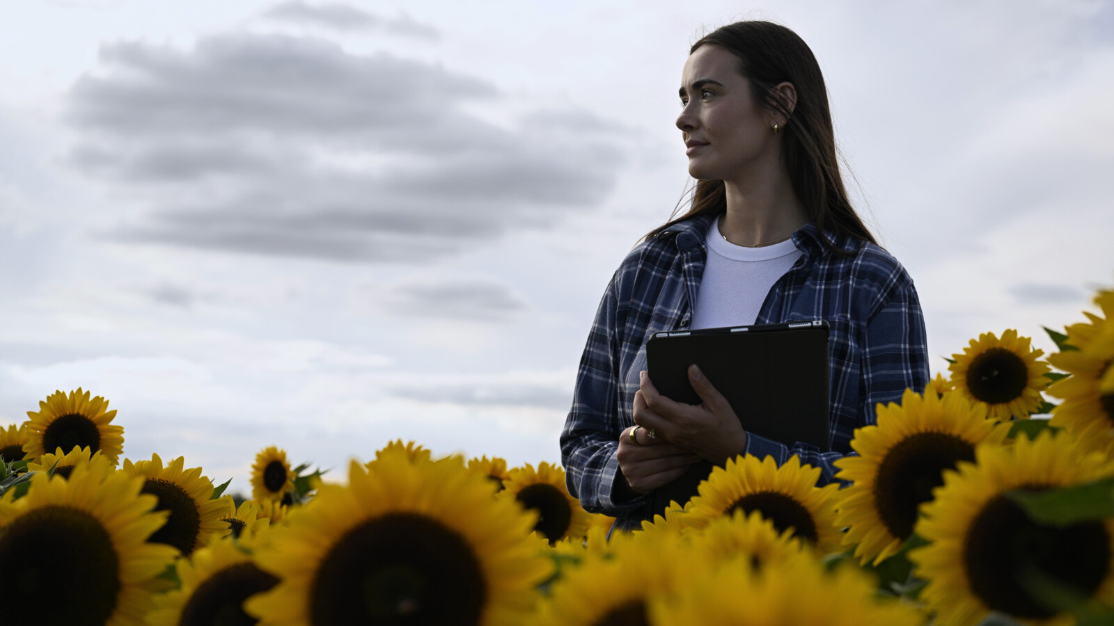 A woman with a tablet in a flower field