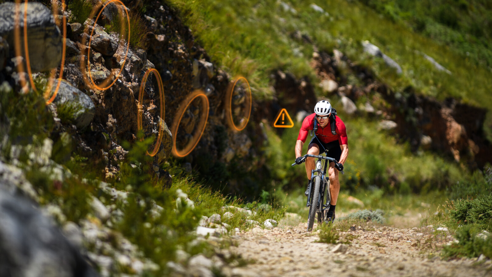 Personalised AI agents