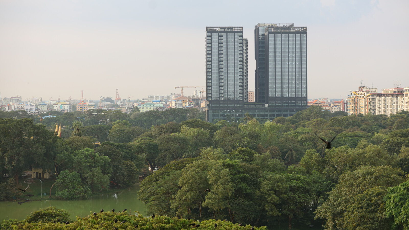 Buildings and green park in city in Asia.