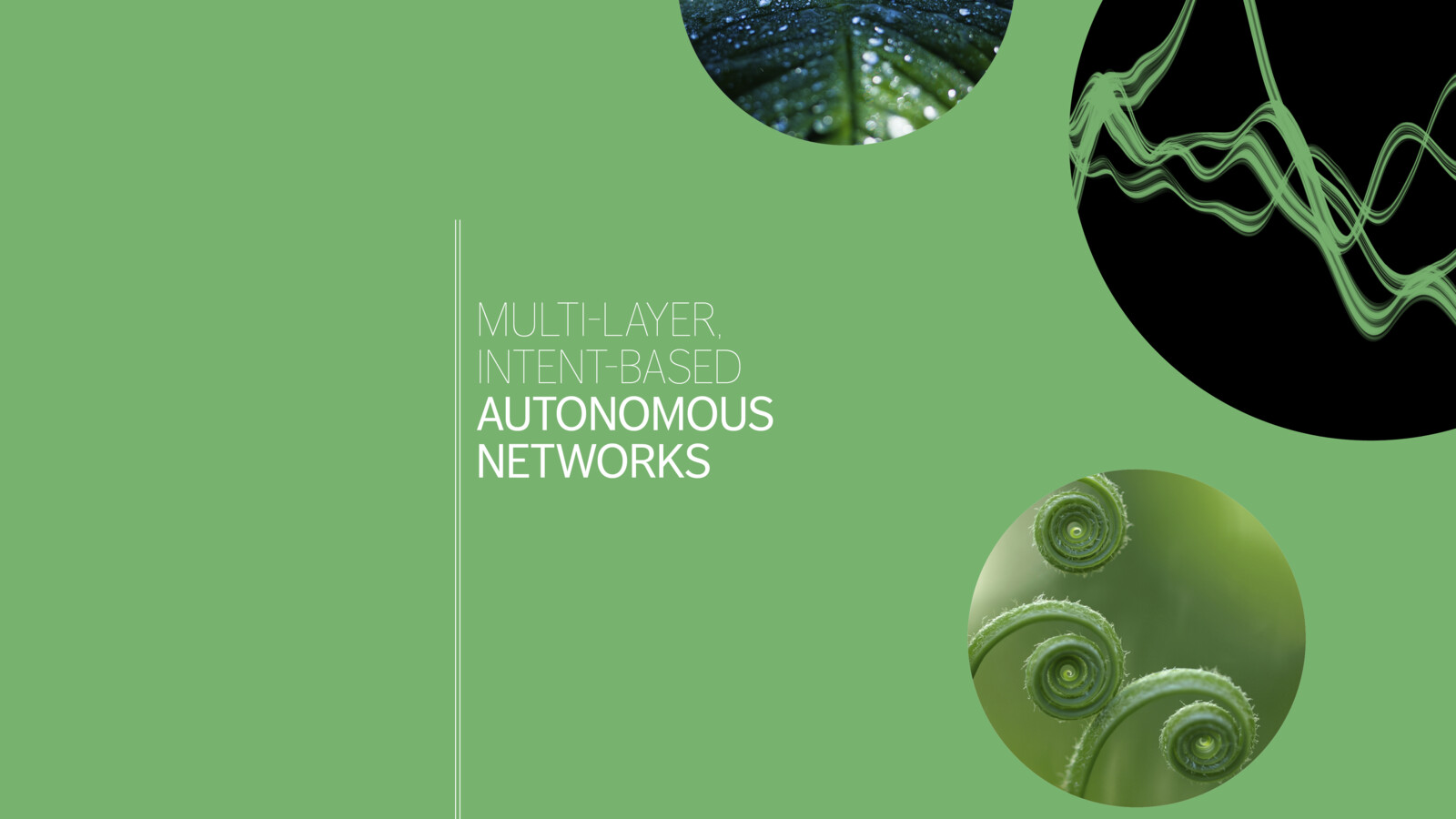 Autonomous networks with multi-layer, intent-based operation
