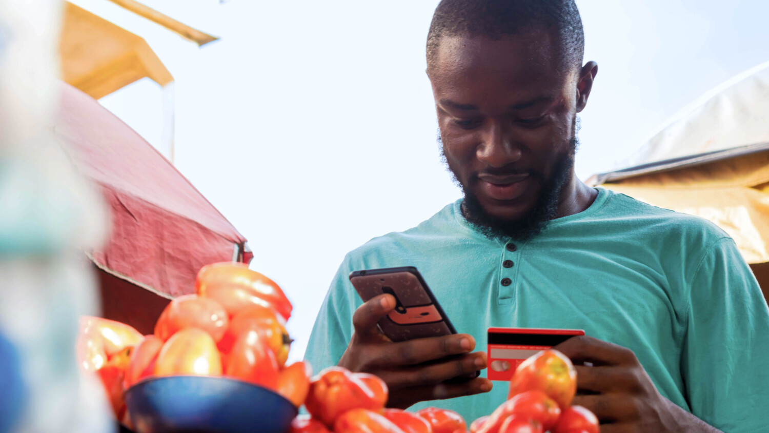 Person using phone and card at market table with tomatoes.