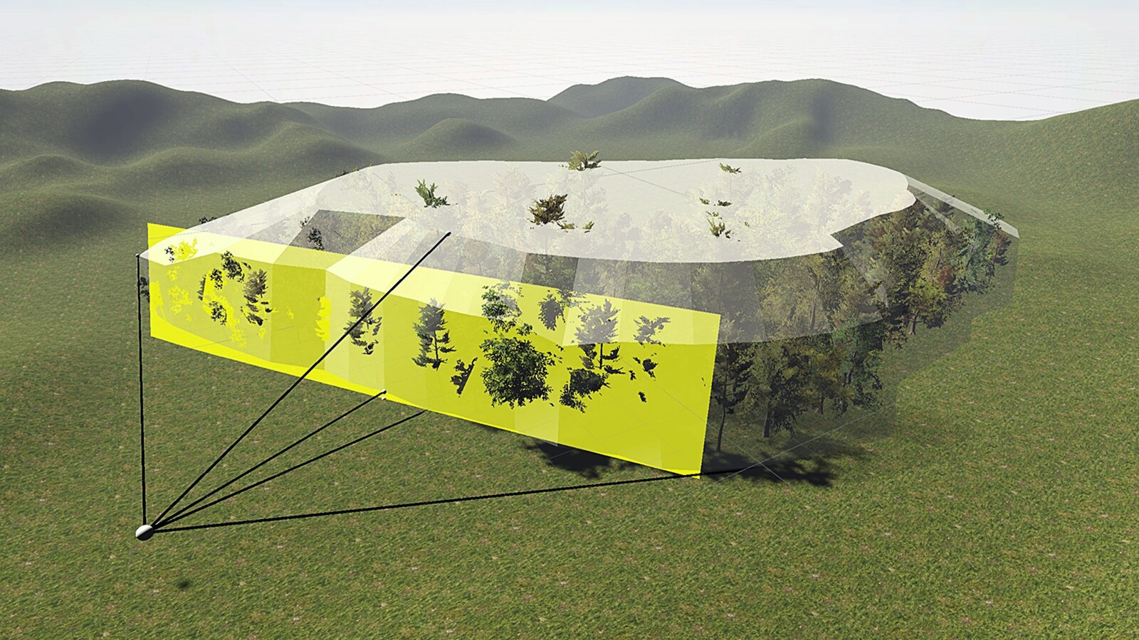 Sound sources Windy Forest