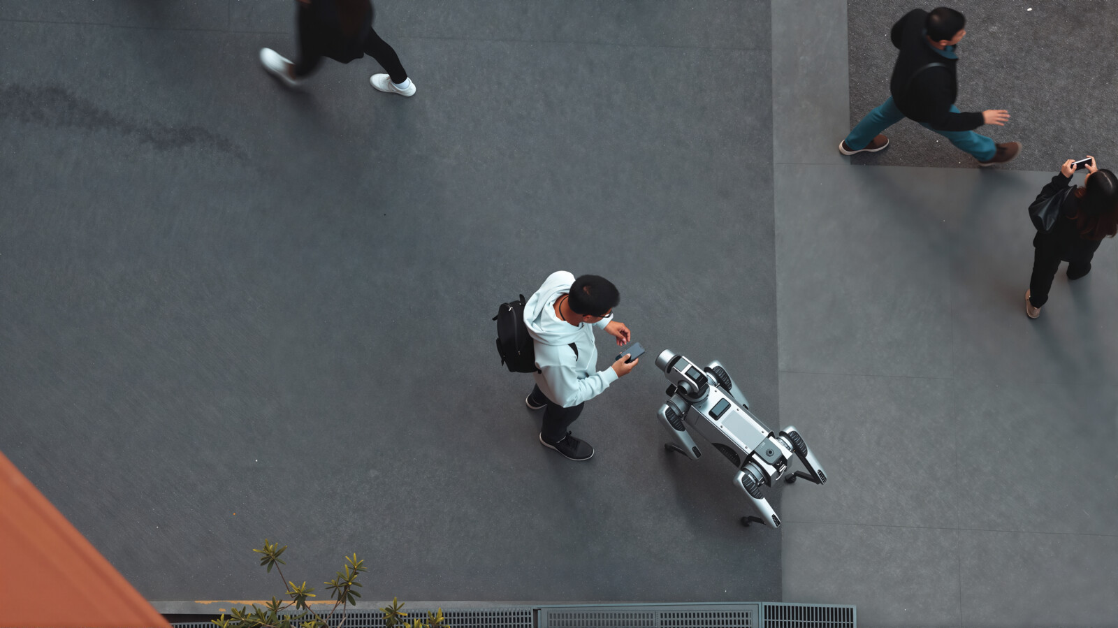 Robot dog walking on street among pedestrians