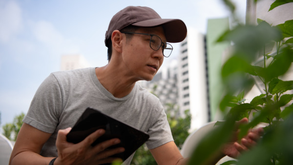 Volunteer studying a plant