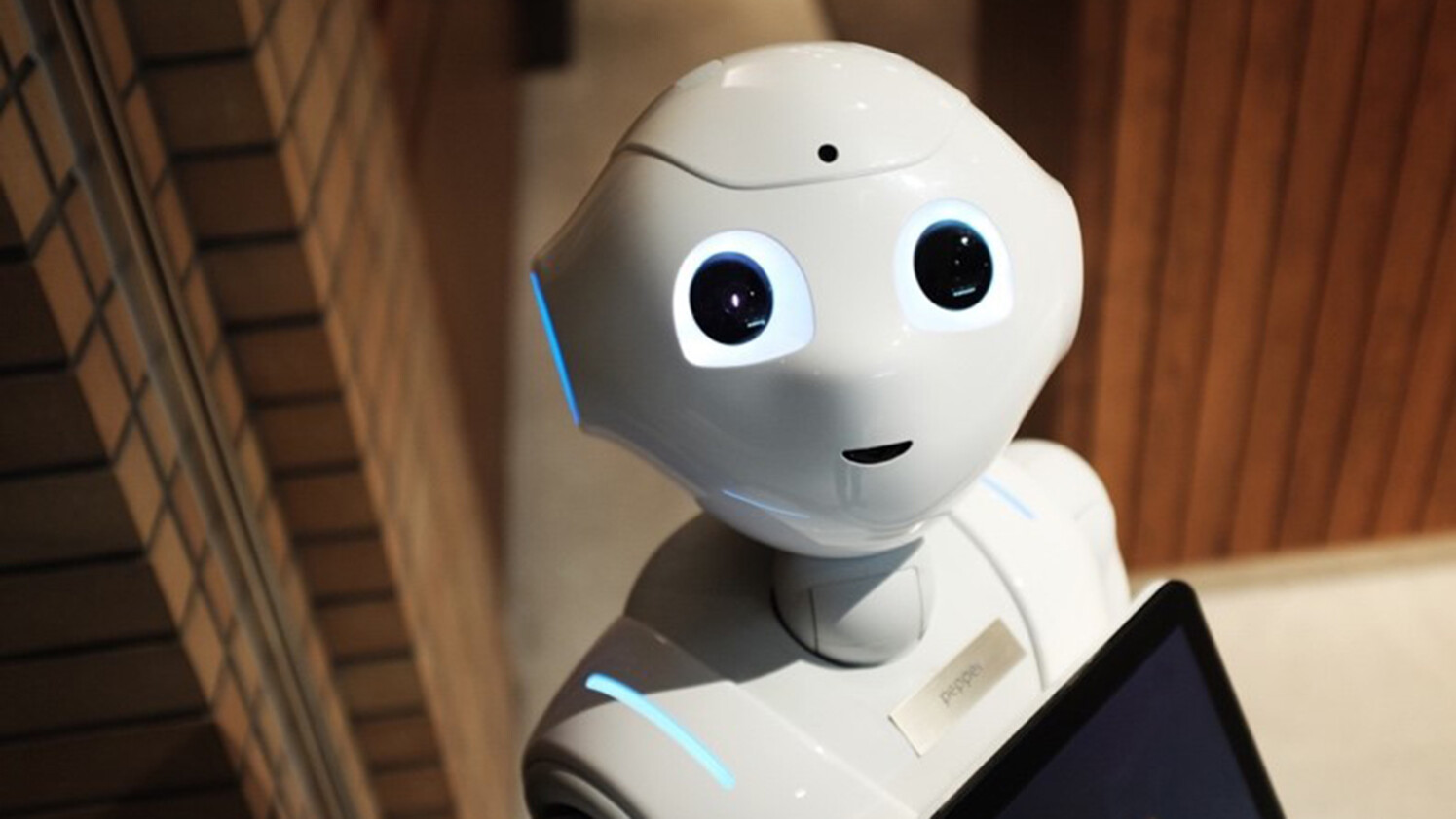 Would a social, home-based robot combat a fear of loneliness?  