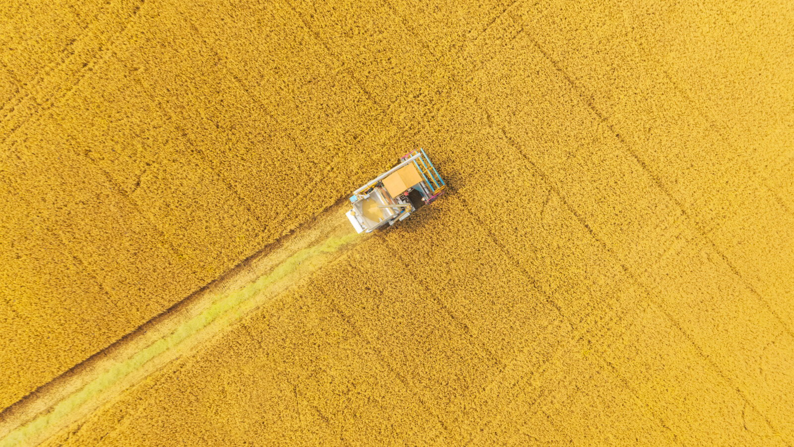 Aerial view of a combine harvester in a field.