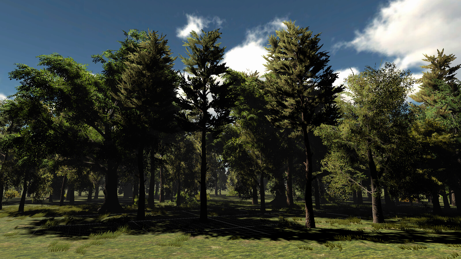 Virtual forest