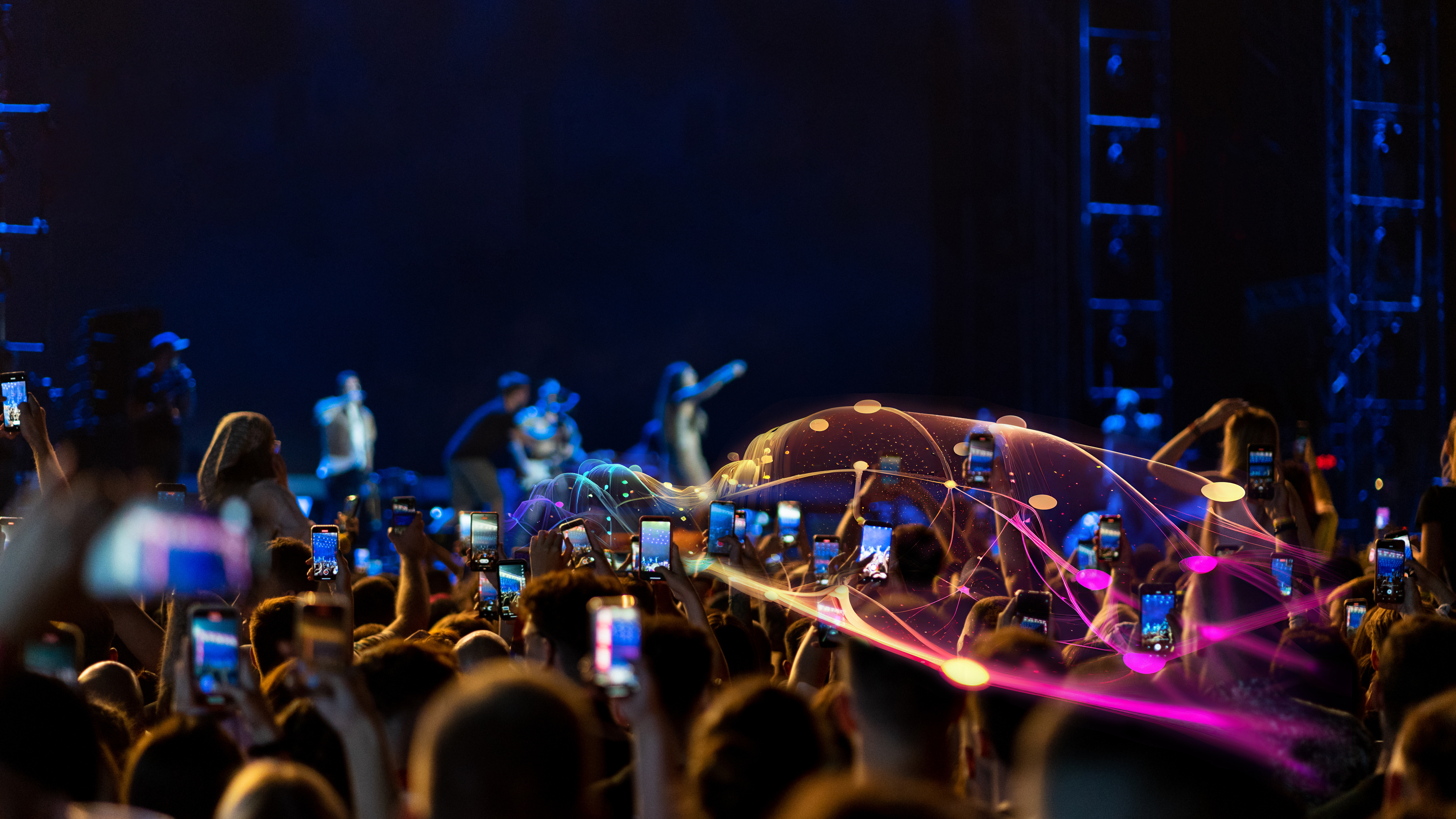audience at a concert