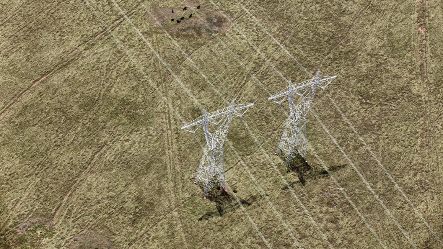 Power lines in a field photographed from above