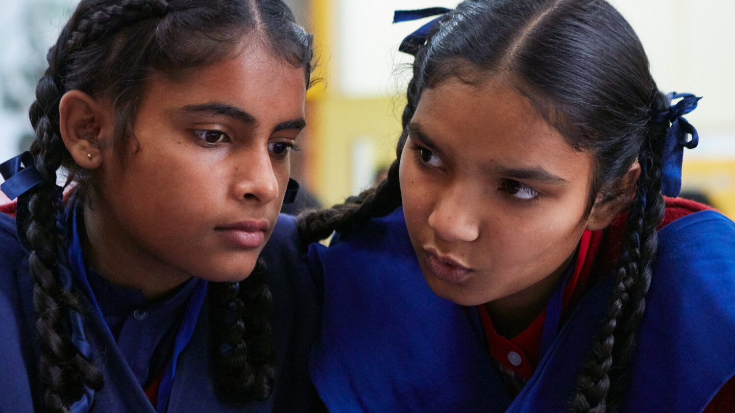 エリクソンの持続可能性