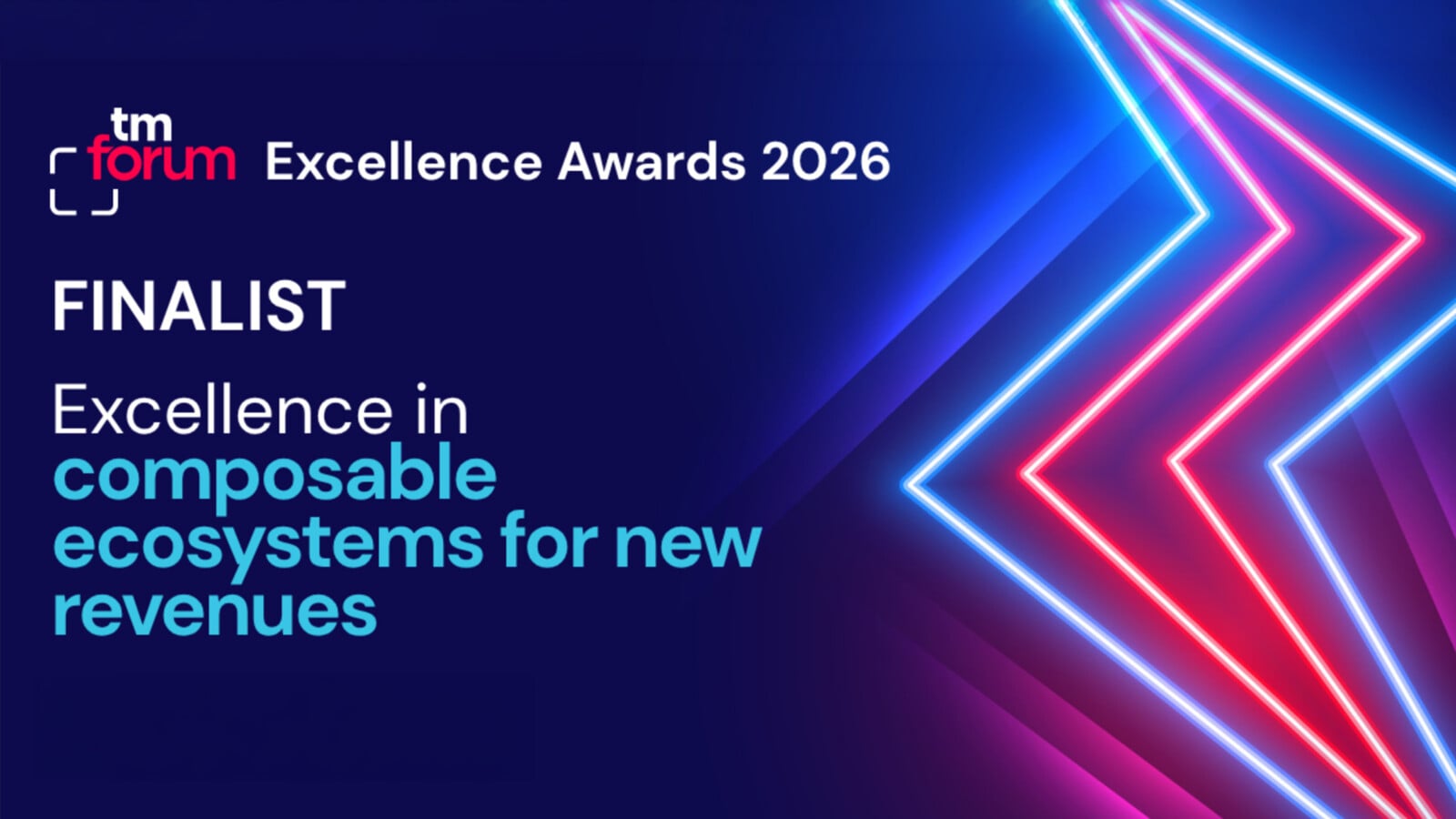 Excellence awards finalist!