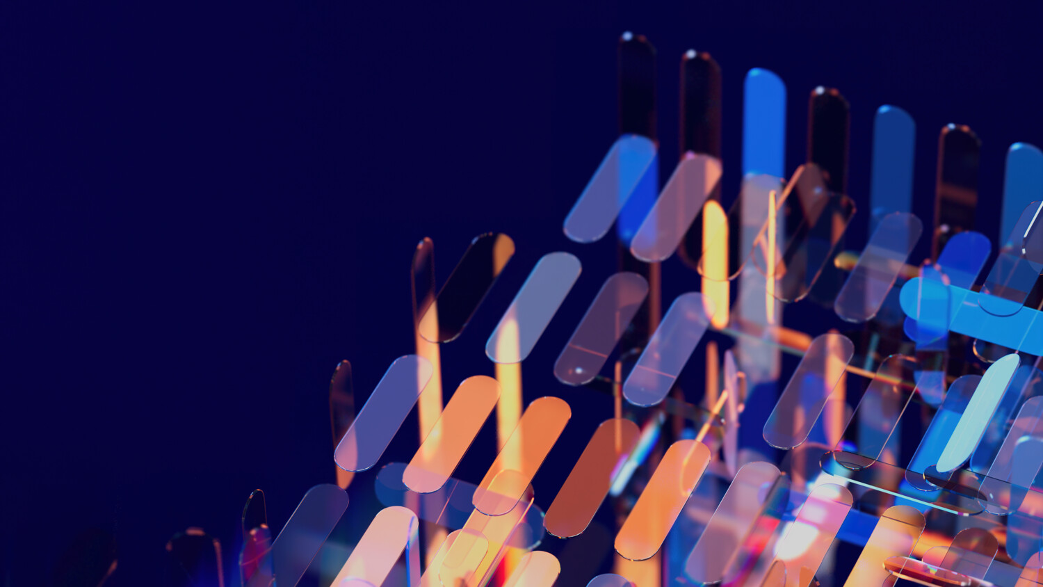 Network evolution: A journey we guide you through