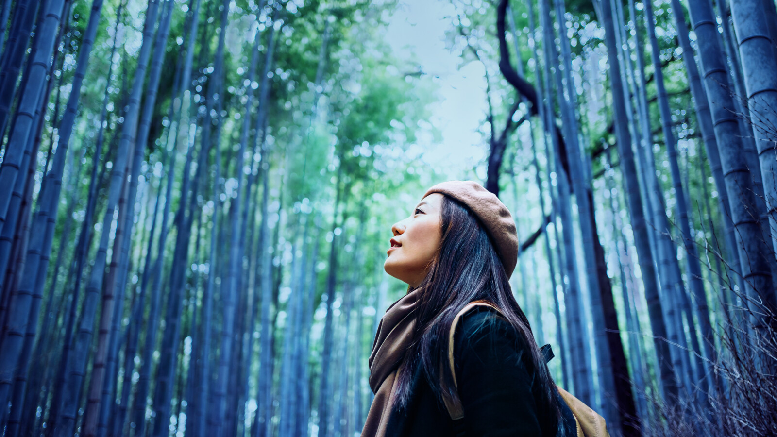 Person stands in tall bamboo forest, looking up.