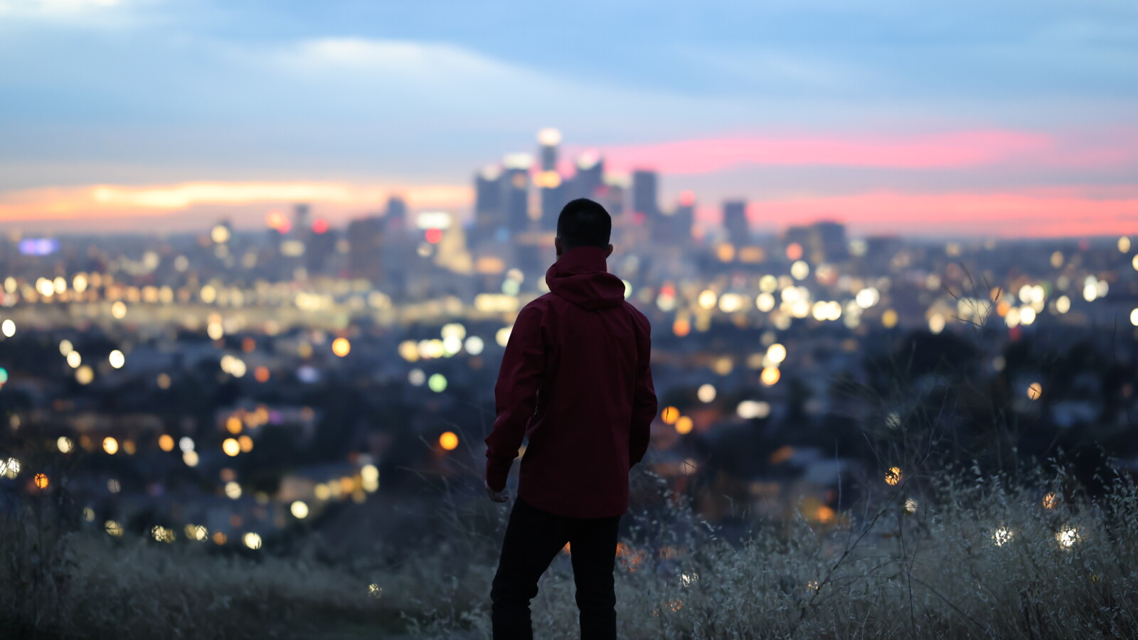 Person viewing a cityscape