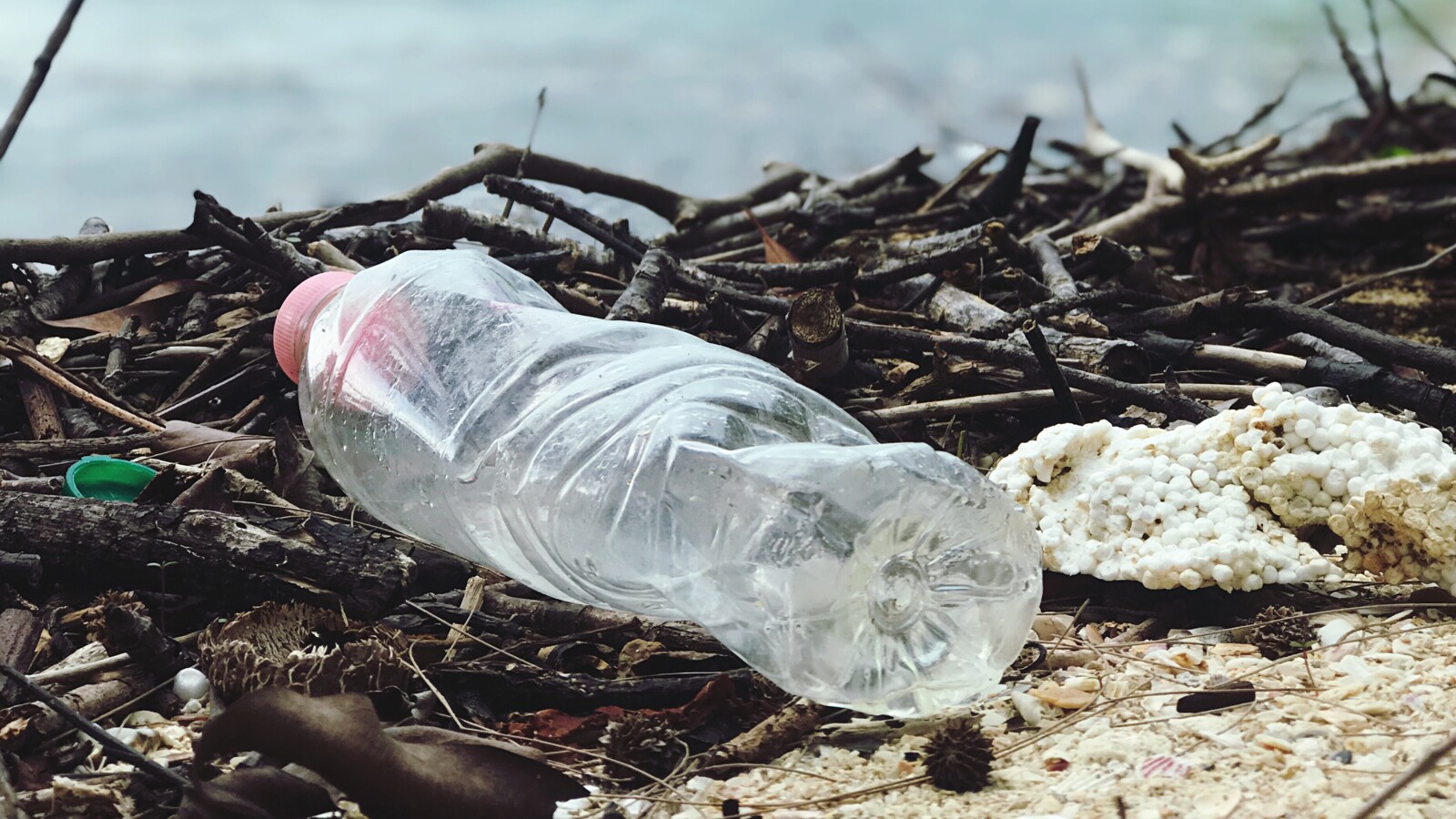 Plastic bottle on a beach
