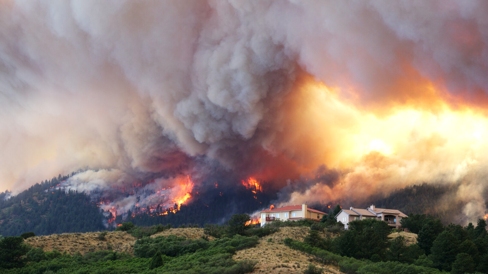 Watch how our mission critical networks enable intelligent operations