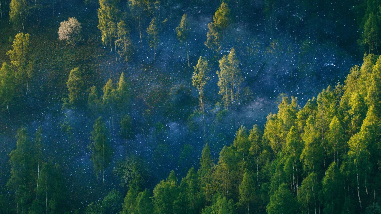 Designing a sensor-driven world: the research take on zero-energy devices