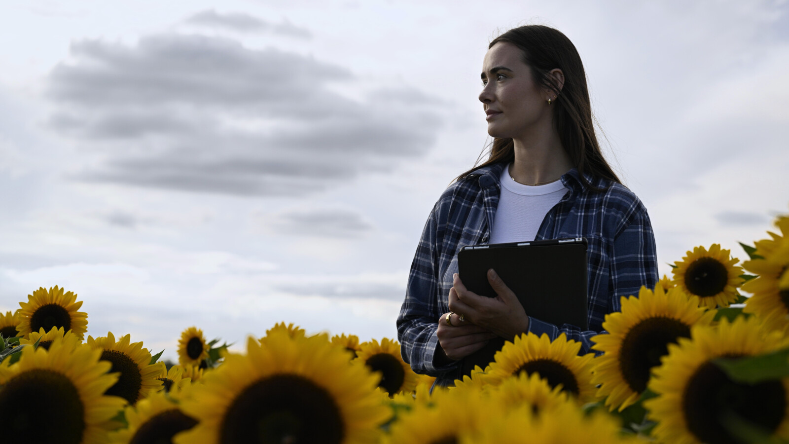 A woman standing in the middle of a flower field with a laptop.