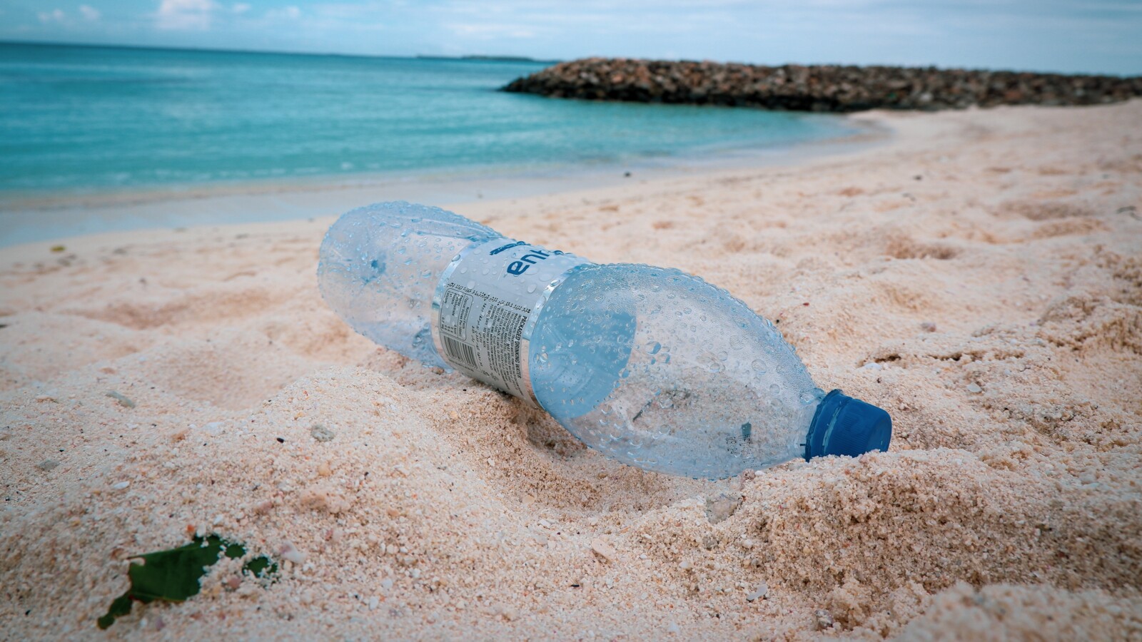 Plastic bottle on a beach
