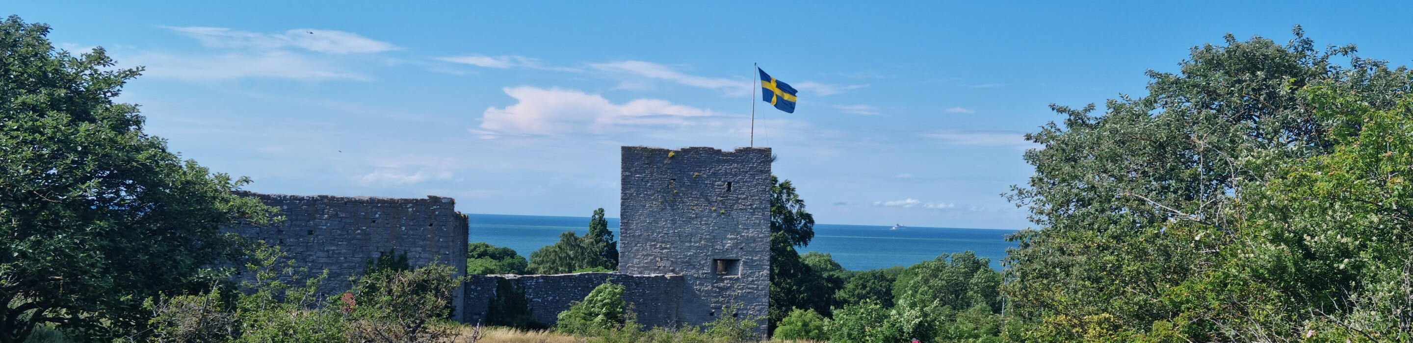 Visby Almedalen