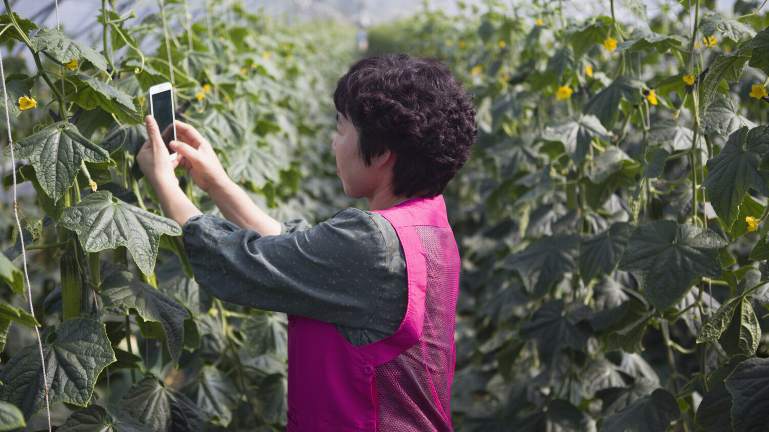 Tech innovation critical for sustainability