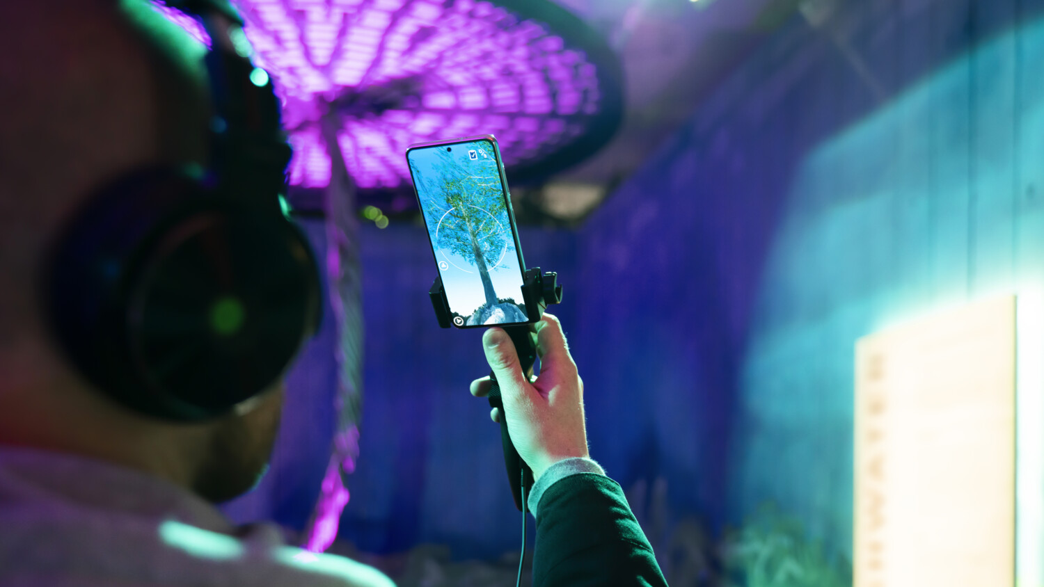 Augmented Reality tree seen on mobile phone screen.