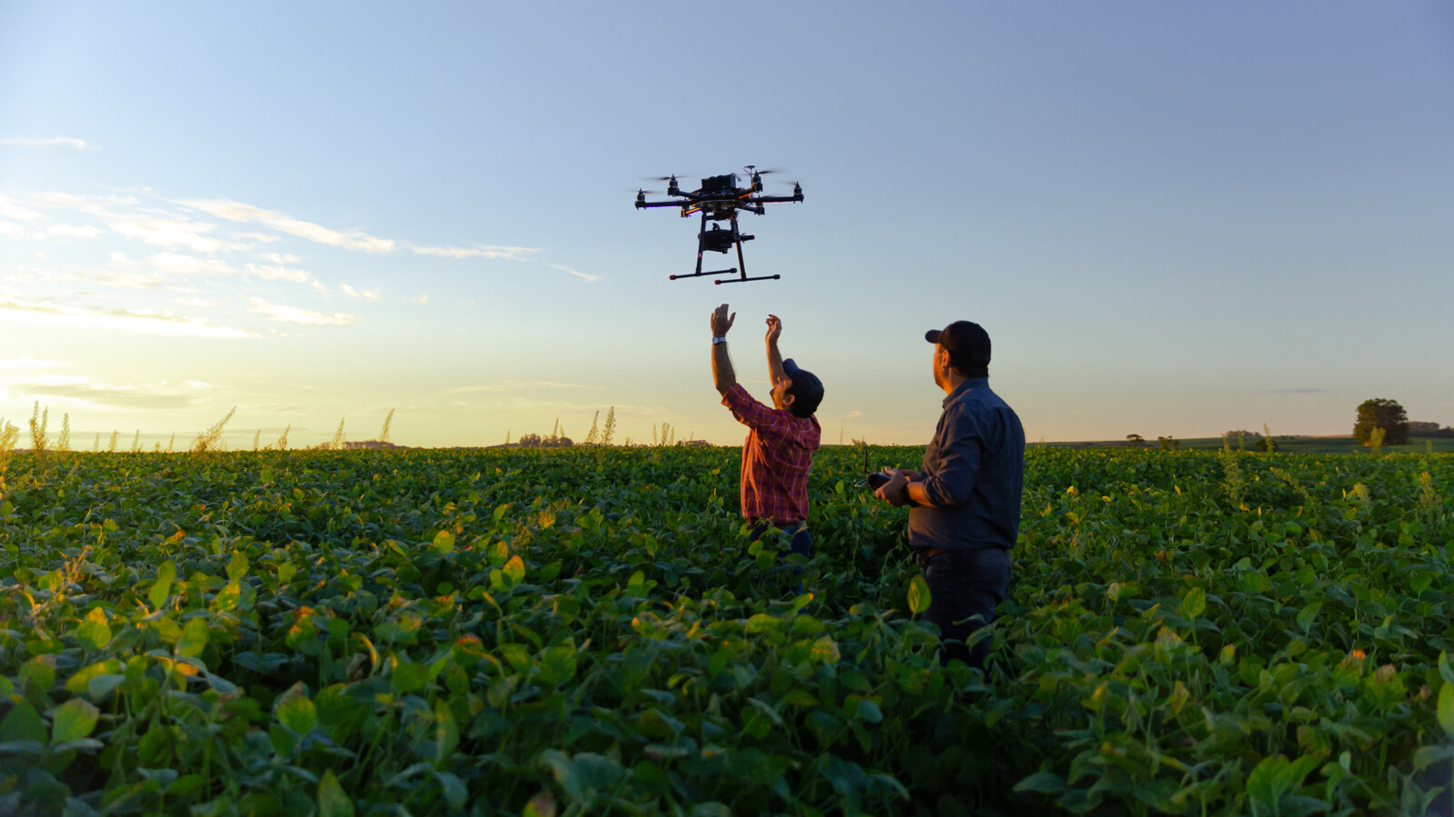 Two persons with a drone in the middle of a field.