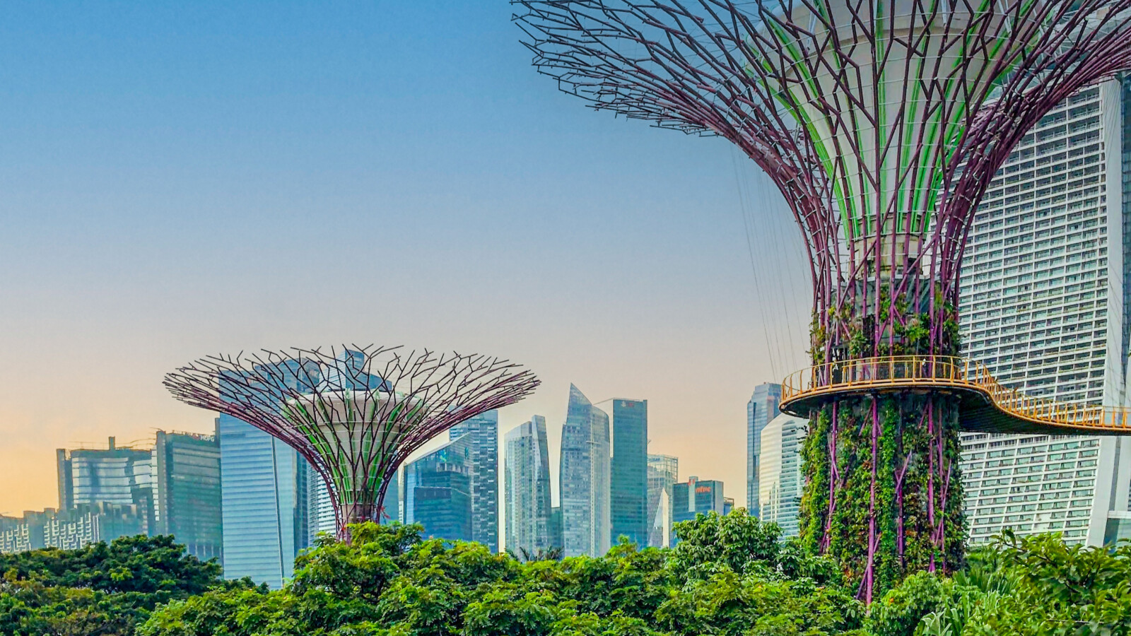 Gardens by the Bay in Singapore.