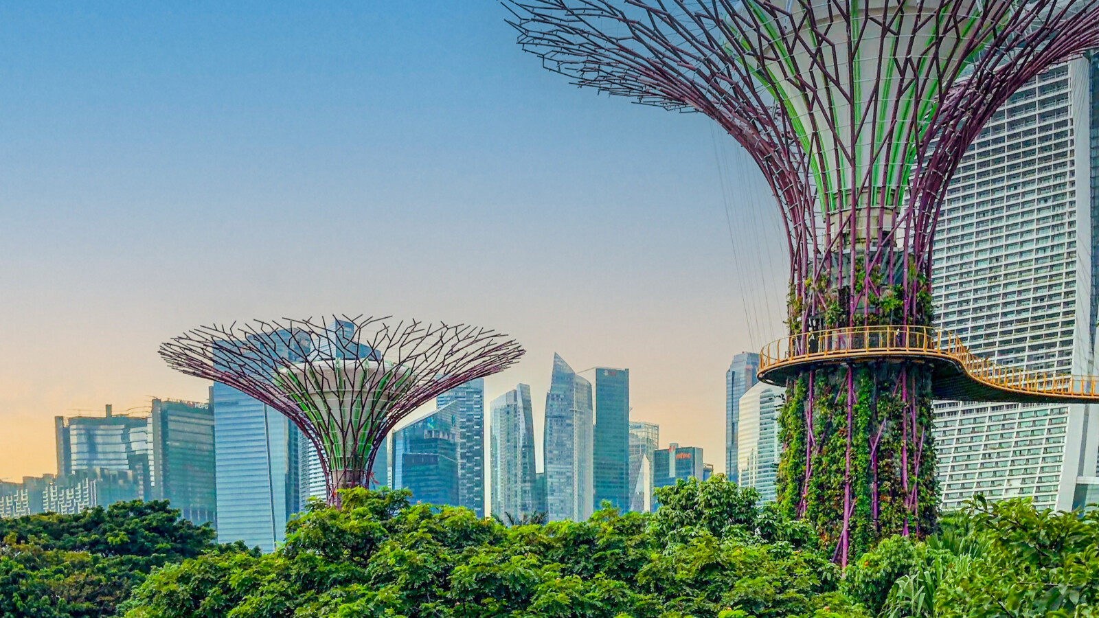 Supertree Grove at Gardens by the Bay in Singapore, with towering vertical gardens and cityscape.