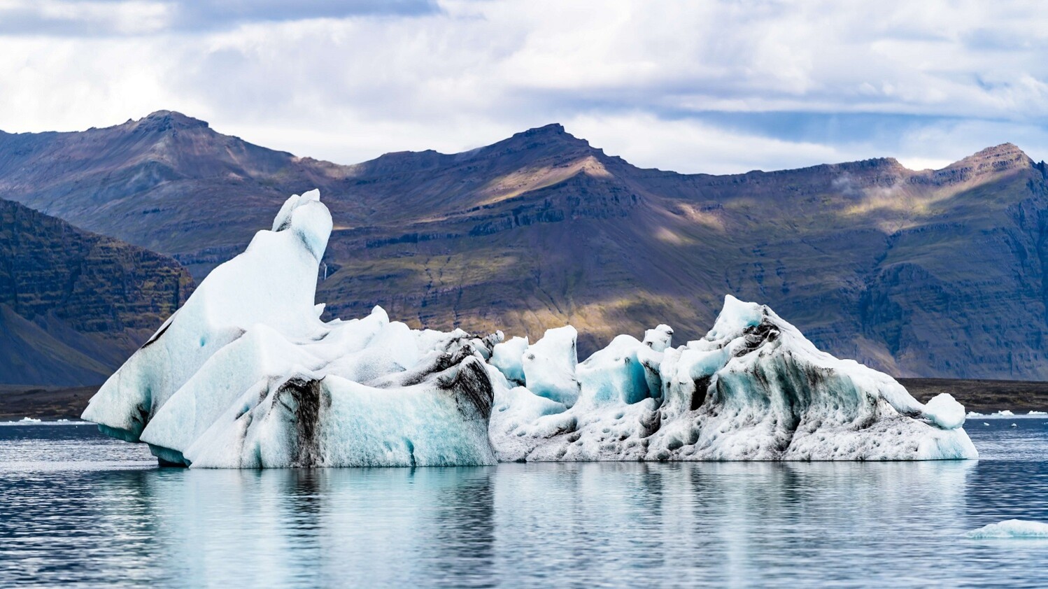 Climate & Environmental Sustainability 