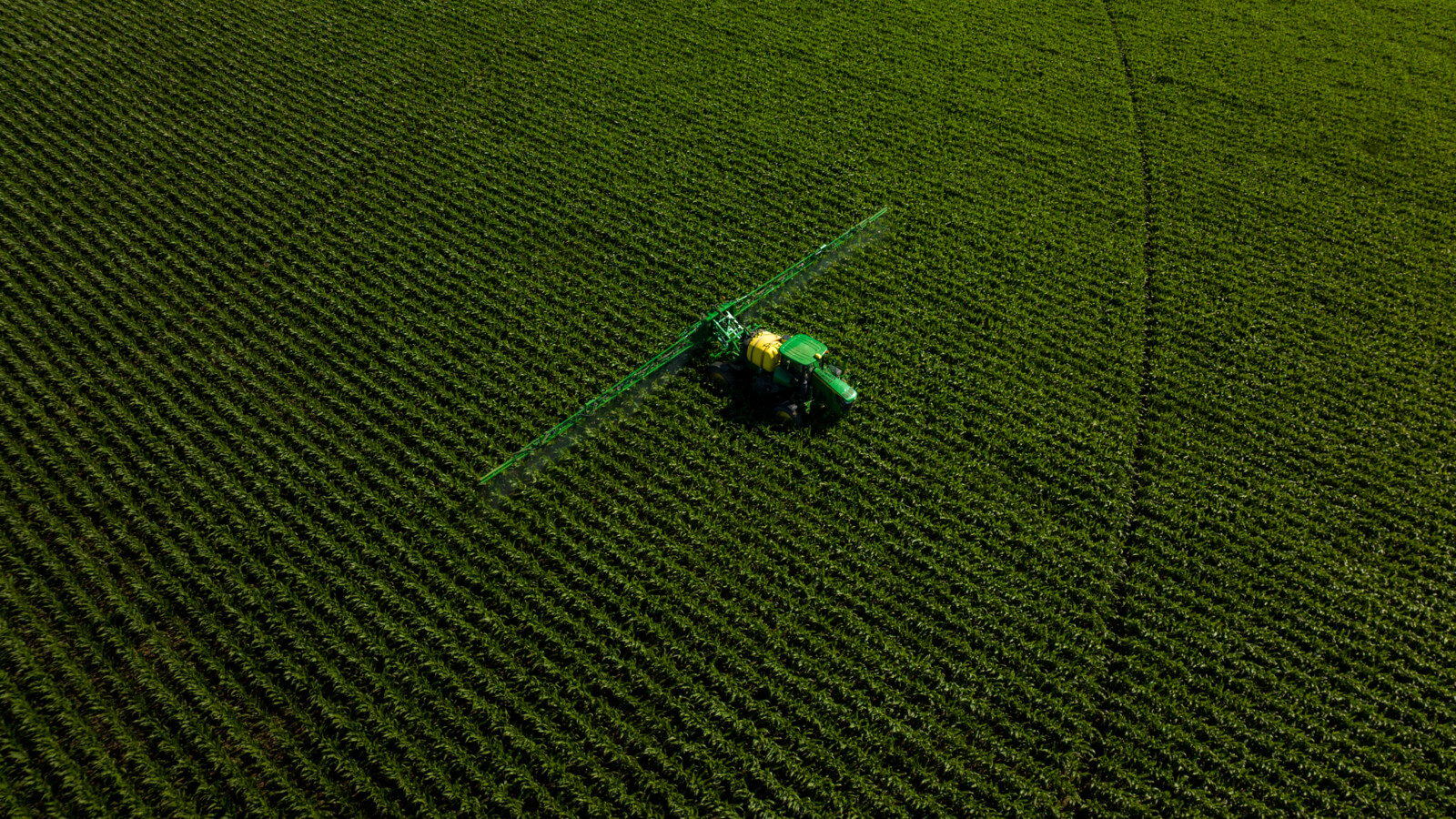 Agricultural productivity and food security