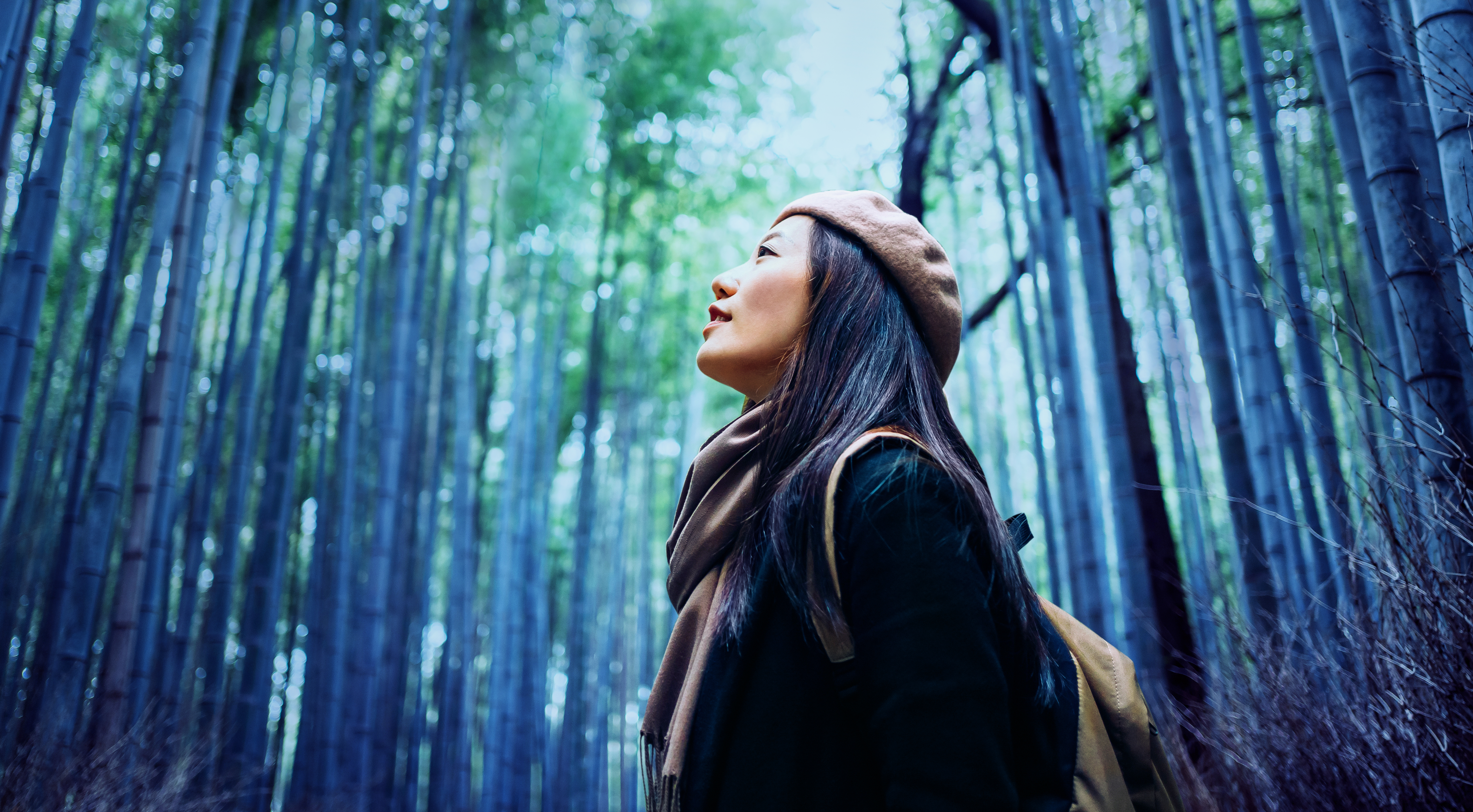 連網技術與氣候變遷