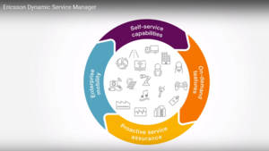 Ericsson Dynamic Service Manager:  Fluid Services, Solid Profits