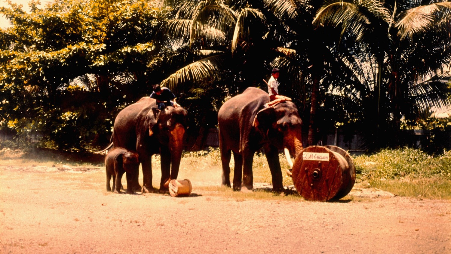 Thailand, 1976, cable transport