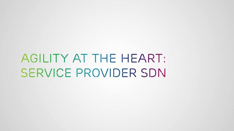 Service Provider SDN