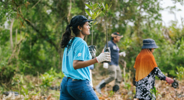 Volunteers planting trees