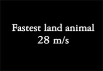 Commercial: Make yourself heard (speed)