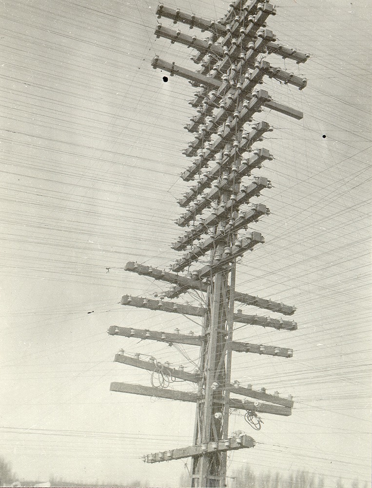 ARGENTINA, 1920S, TELEPHONE POLE