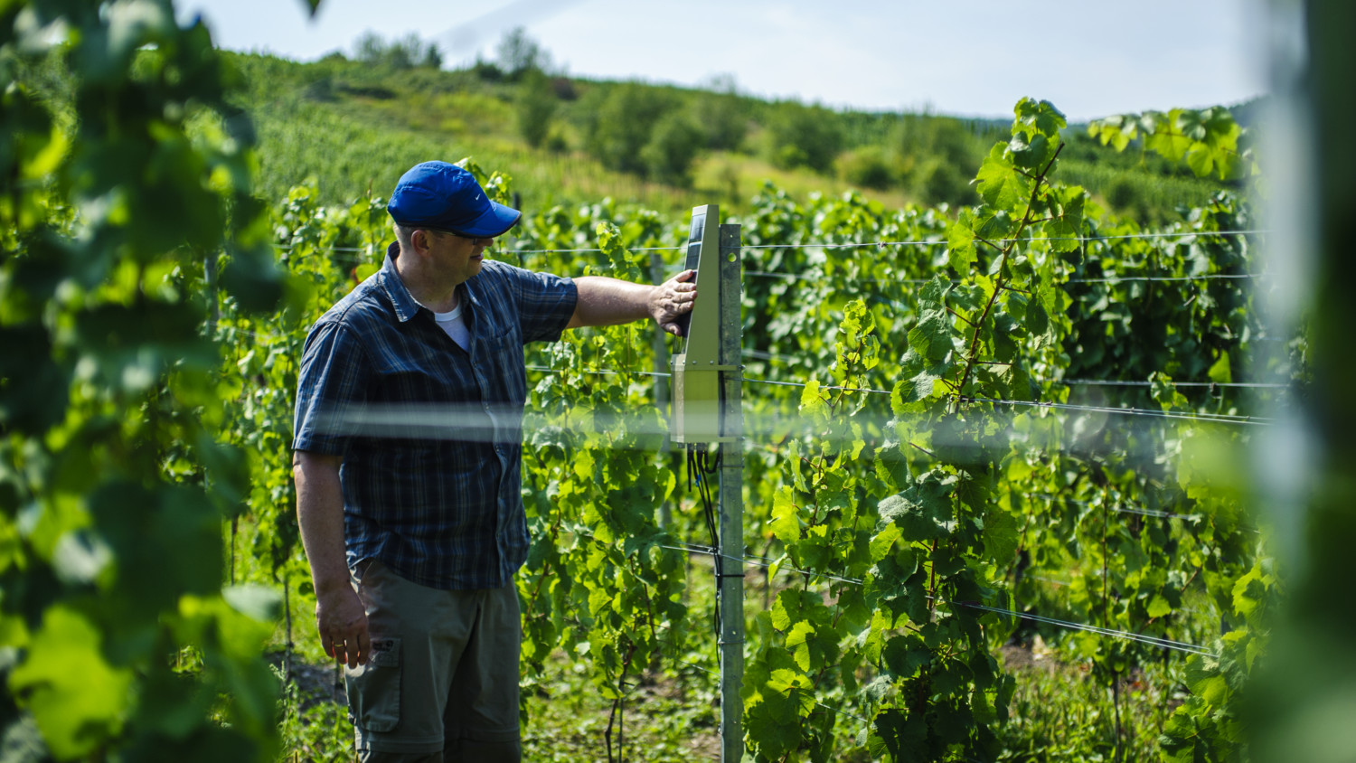 Sensor networks - IoT and 5g - automation on a large scale