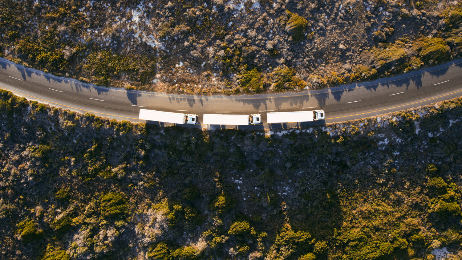 Trucks platooning on road.