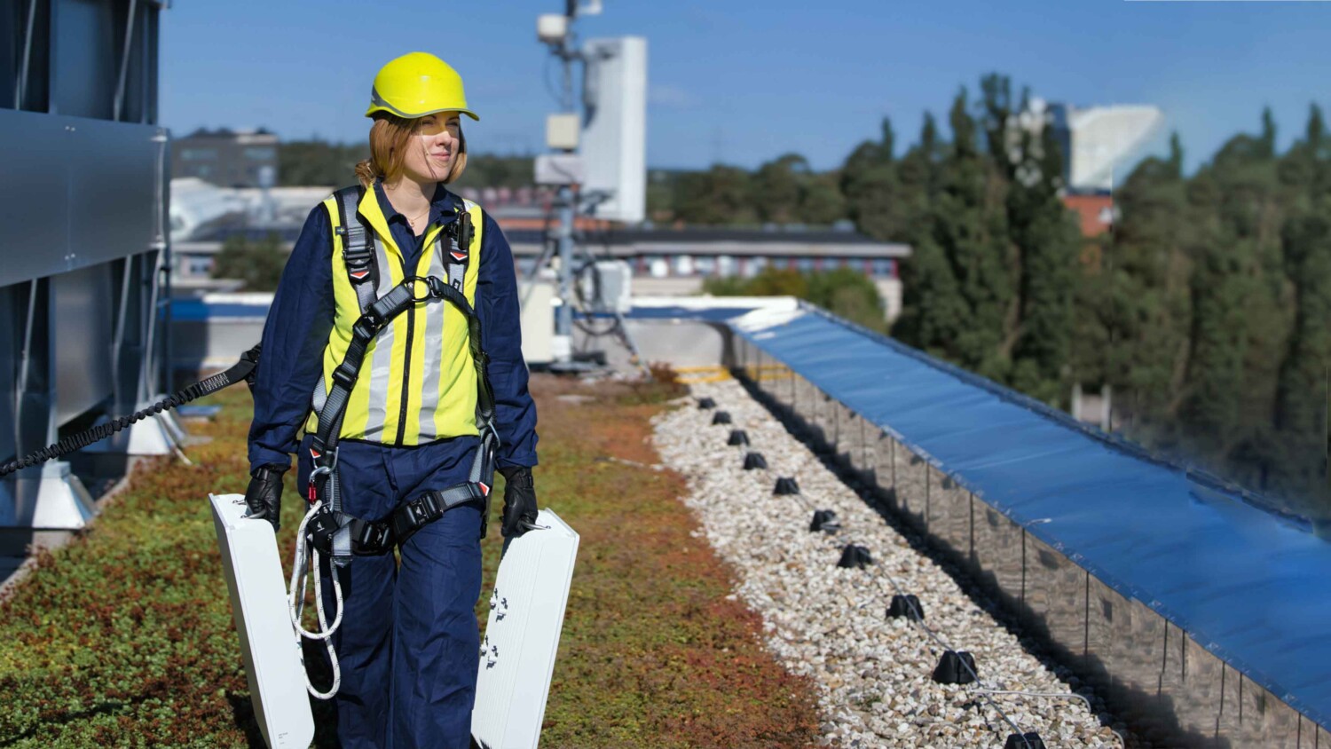 Massive MIMO spectrum efficiency everywhere