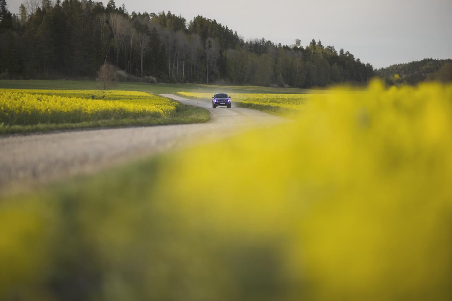 Self-driving vehicles