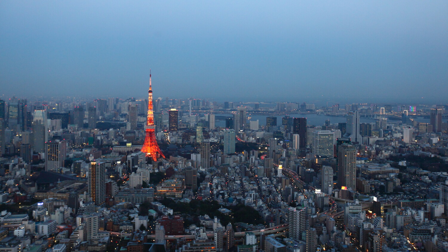 night view of Tokyo Tower