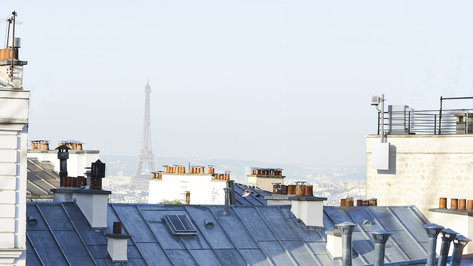 AIR Macro on rooftop on in Paris.
